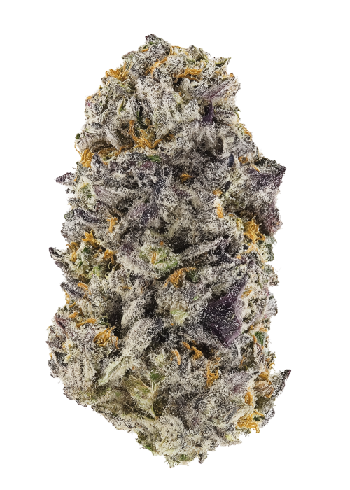 Planet Diesel
