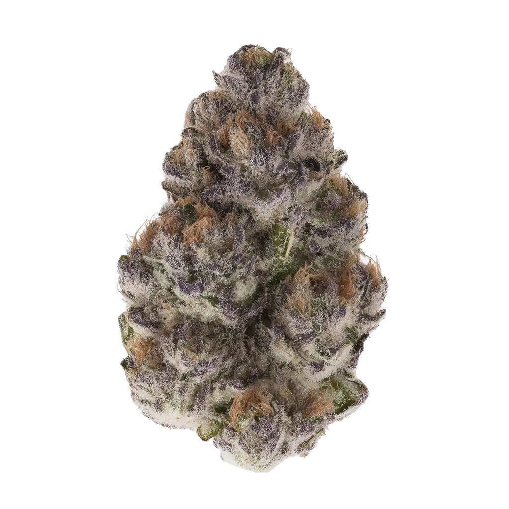 邦楽 The Boom Ganja Gun / Smoke A De Ganja Gun Smoke by Ziplock Seeds Cannabis Strain Information -