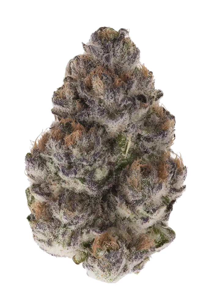 2213-gun-smoke-by-ziplock-