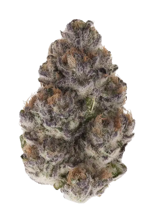 Gun Smoke by Ziplock Seeds