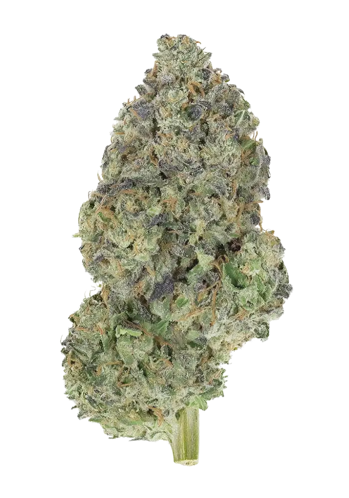 Garlic Mint Sherbet