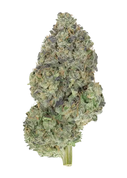 Garlic Mint Sherbet