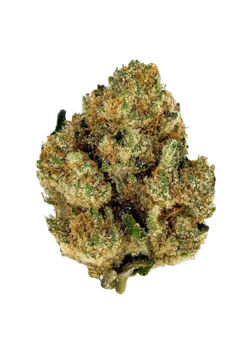 SFV OG