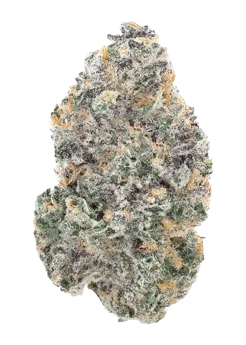 HashBurger 2.0