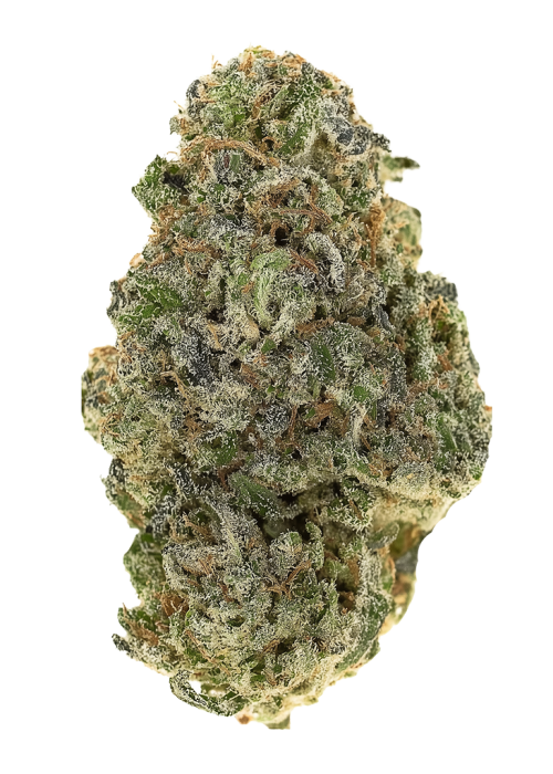 Sour HashBurger