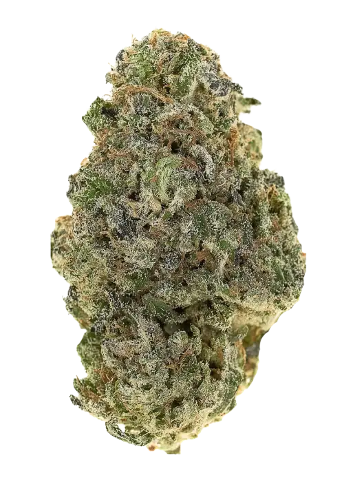 Sour HashBurger