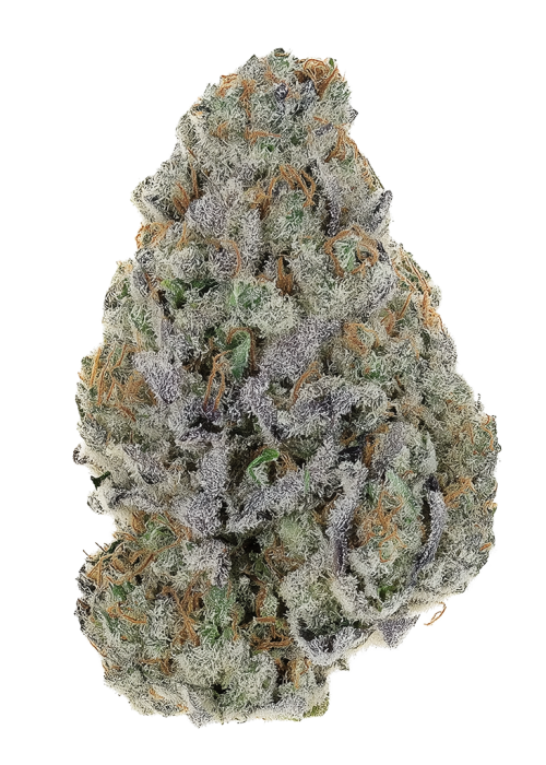 Lemon Ztrawz