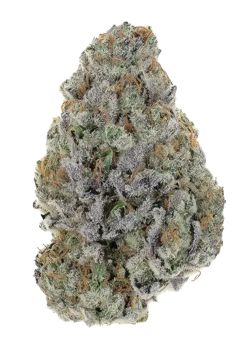 Lemon Ztrawz