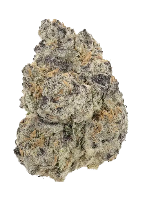 Chocolate Bananza
