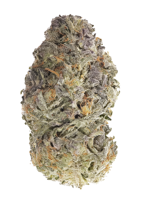 Gasoline Sherblato