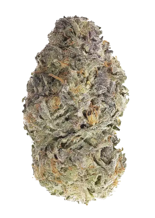 Gasoline Sherblato