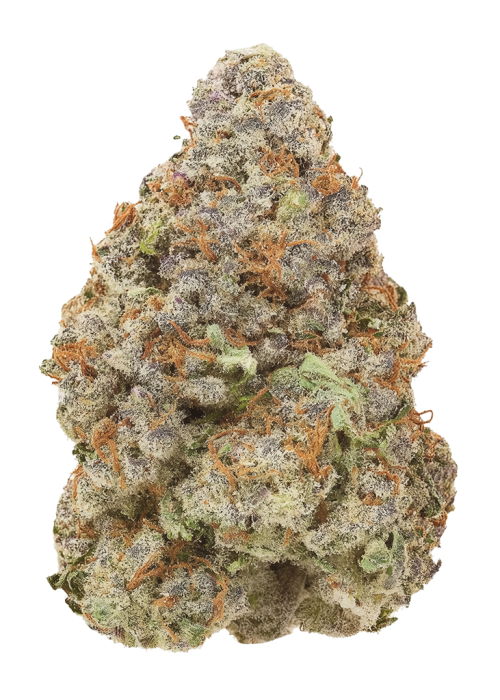 Cherry Gas by Sherbinskis