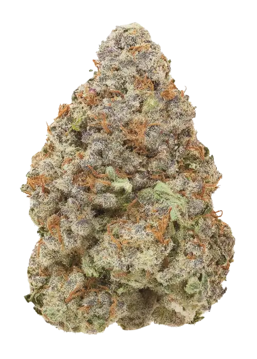 Cherry Gas by Sherbinskis