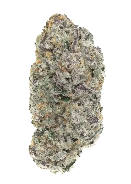 Magic Pop Rockz