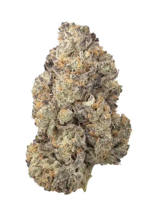 Rainbow Punch by Ethos