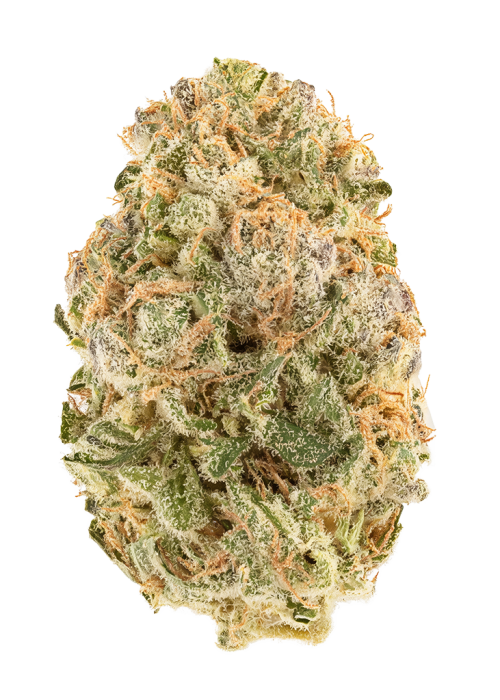 Limon-G
