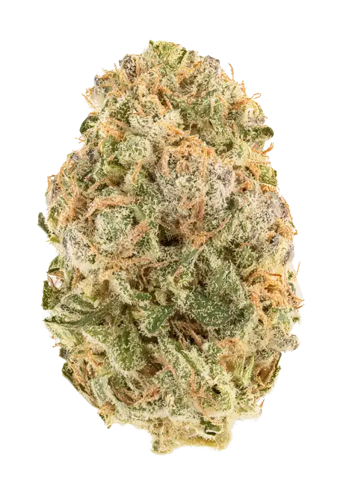 Limon-G