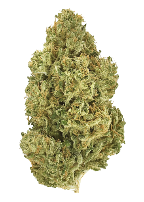 Early Bubba by Twenty20