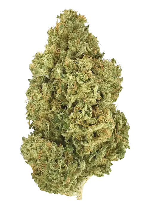 Early Bubba by Twenty20