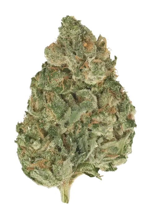 Superwreck V2
