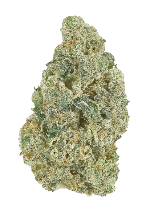 Snow-G F4