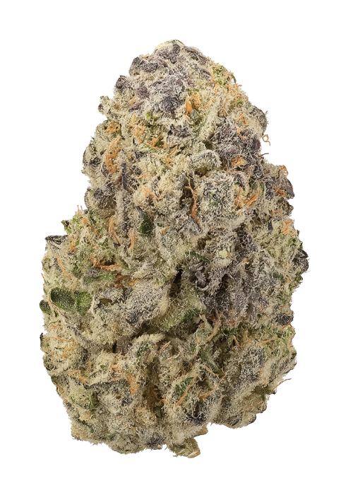 Garlic Jam Auto