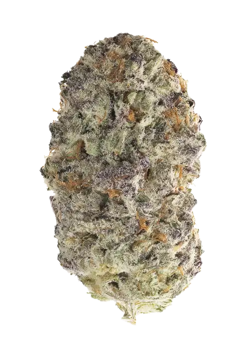 Death Guava