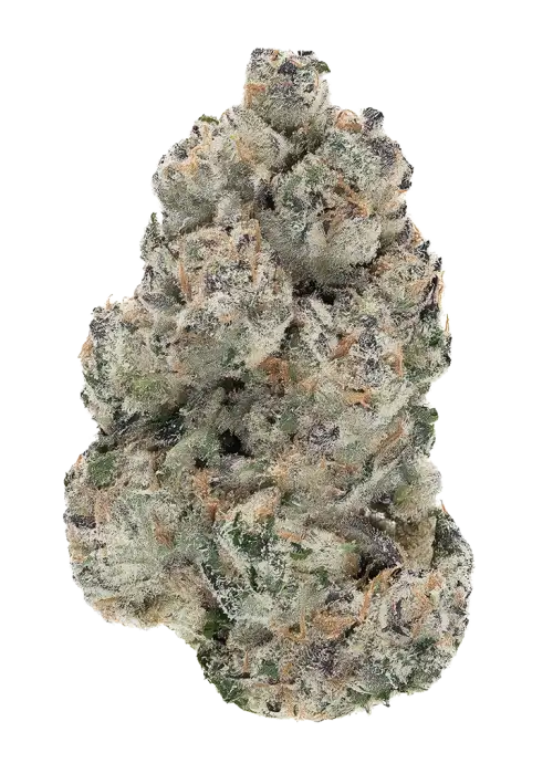 Sour Chewz