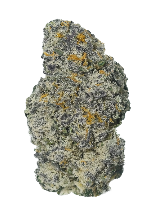 Solazo