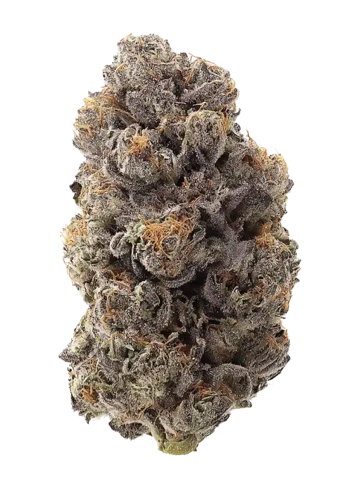 Slurricane Cookies