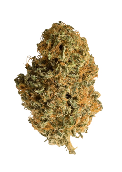 King Kong