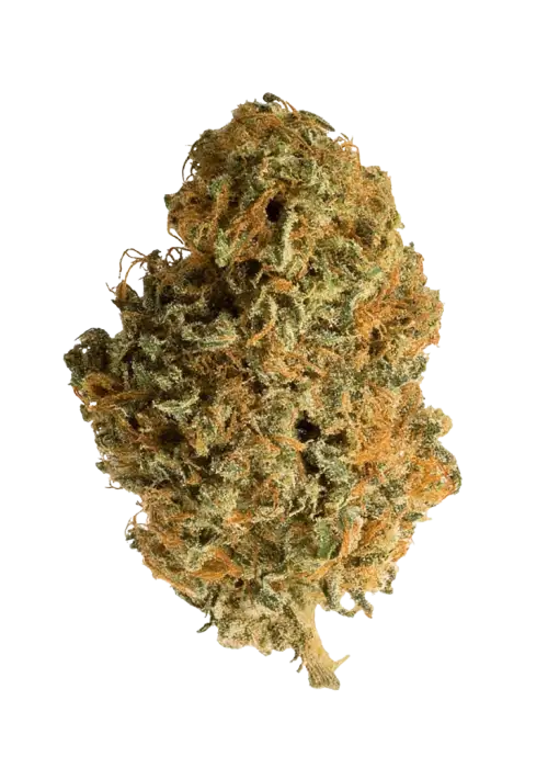 King Kong