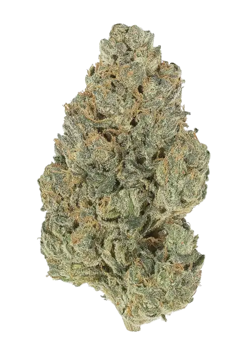 Banana Cherry Cookies Auto™