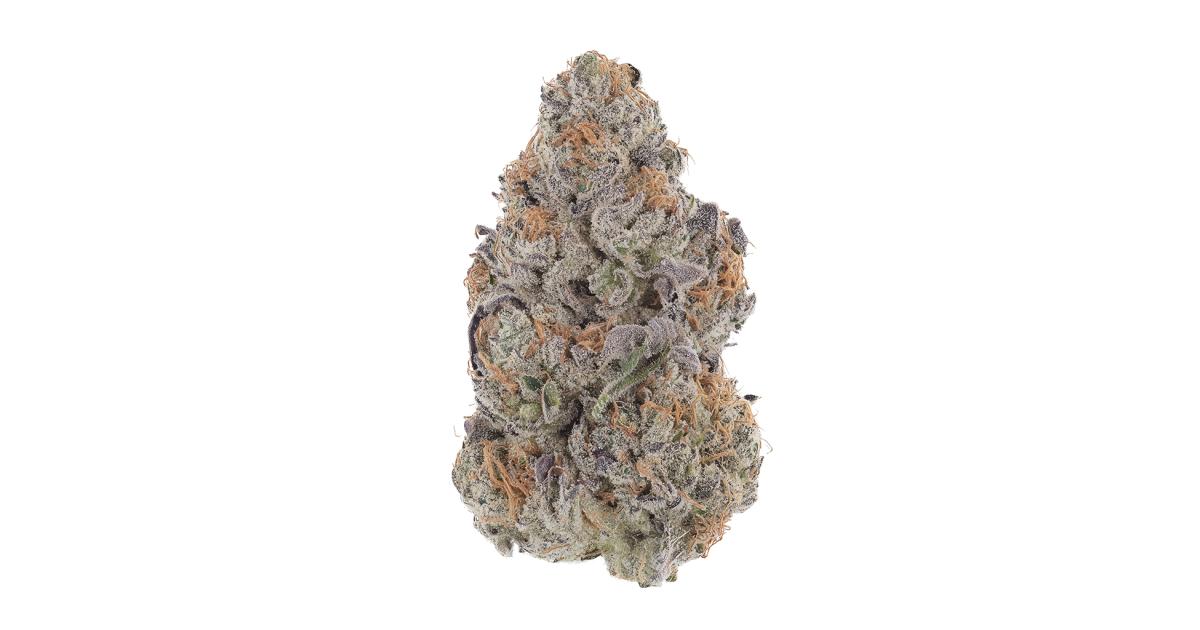 Slush Mint Cake BX1 Cannabis Strain Information - GrowDia