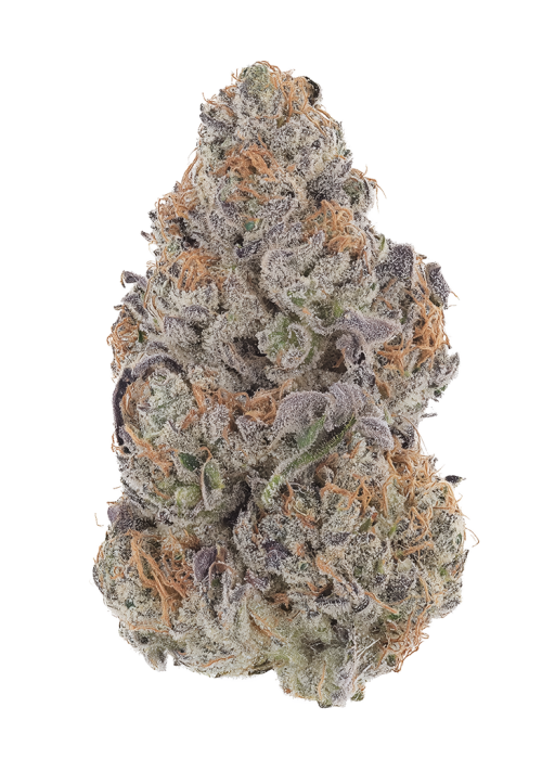 Slush Mint Cake BX1