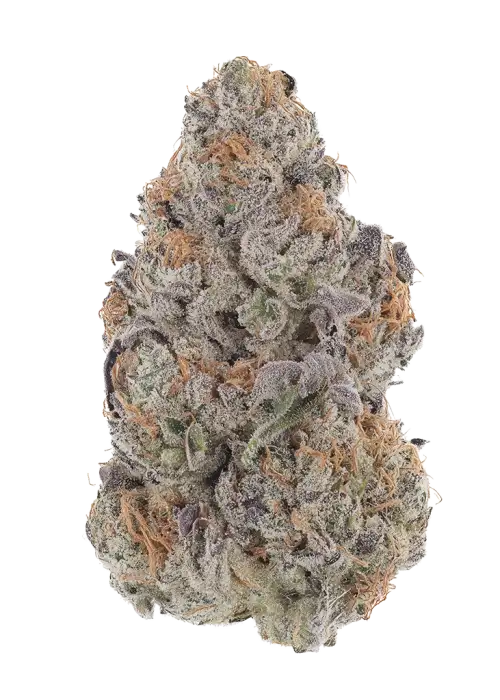 Slush Mint Cake BX1