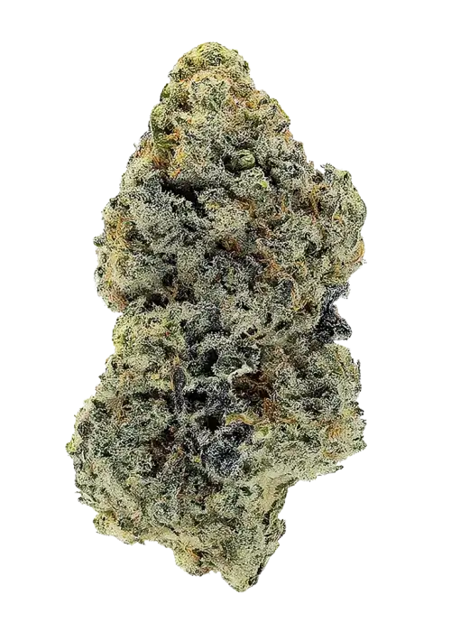 Woozy