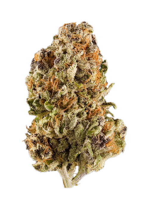 Heady Jazz