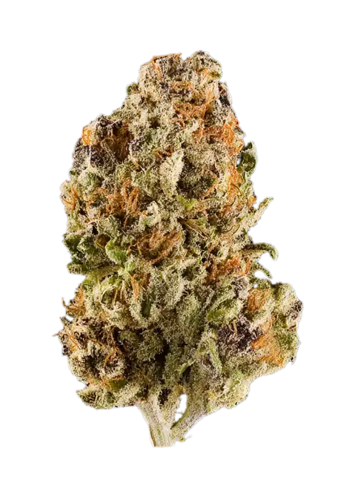 Heady Jazz