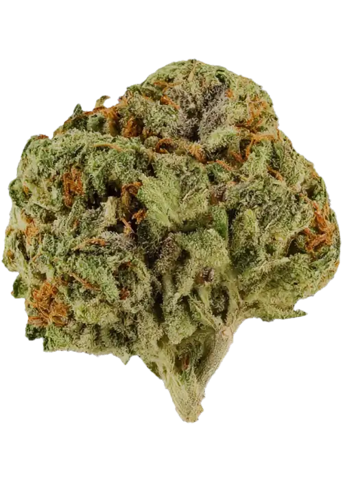 Grape Gass