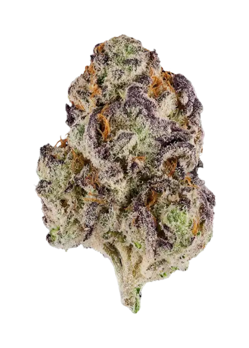 Grape Drizzle