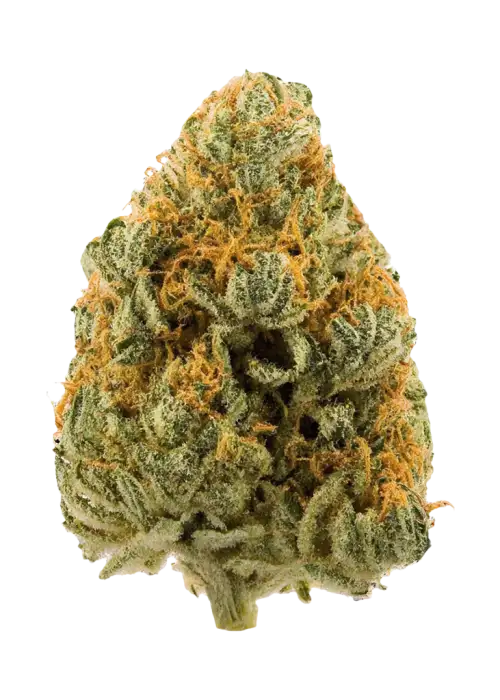 Cranberry Guava