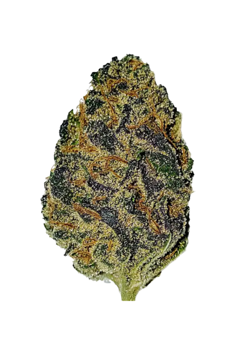 Pink Candy Kush