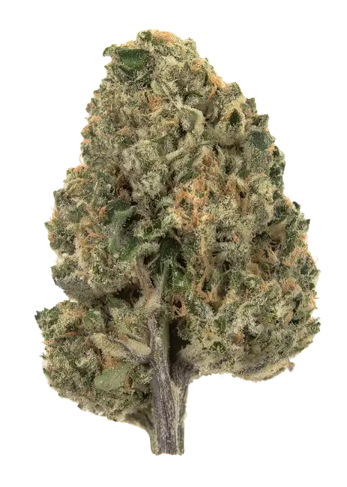 ZtarFruit