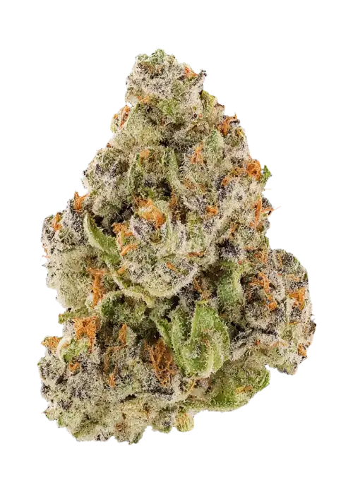 Grape Bum