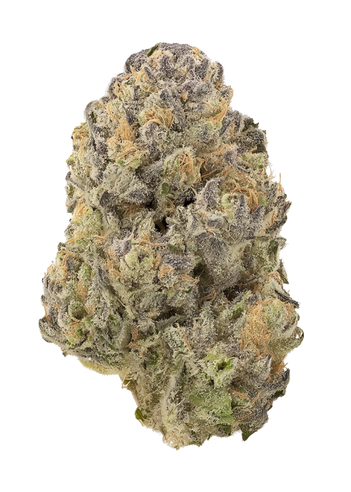 Papaya Ooze