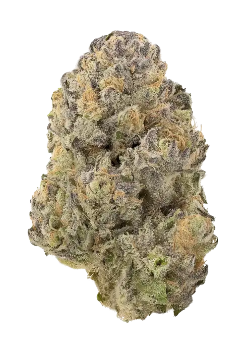 Papaya Ooze