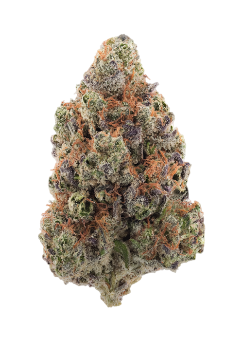 Divine Gelato
