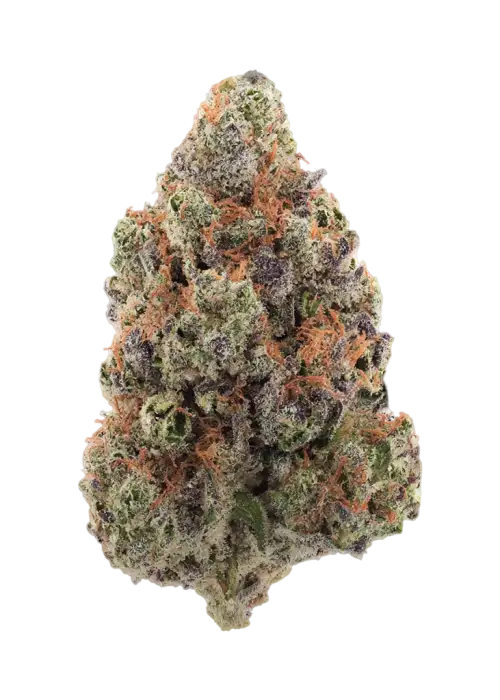 Divine Gelato