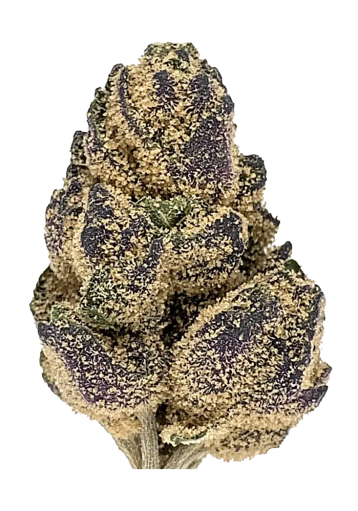 4073-grape-god_1000.webp